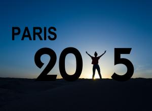 Magyarország az első között ratifikálta a párizsi klímamegállapodást 