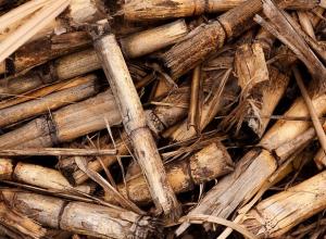 biomassza energetikai alkalmazása